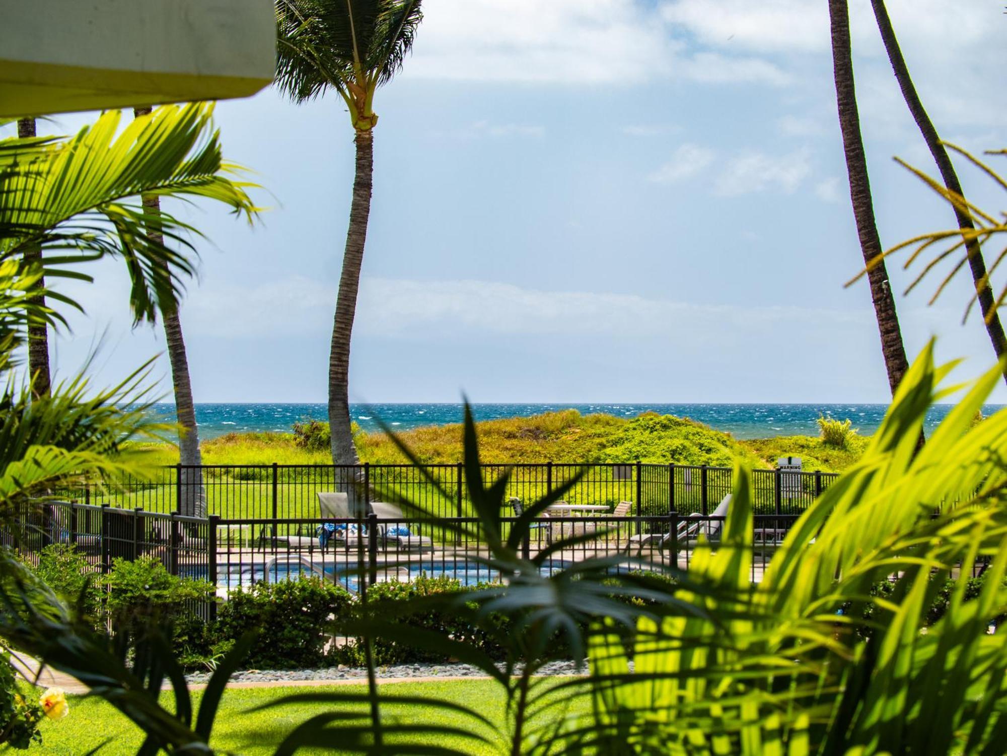 Wbh D116 Aloha Wai - Garden Suite Just Steps From The Sea Kihei Dış mekan fotoğraf